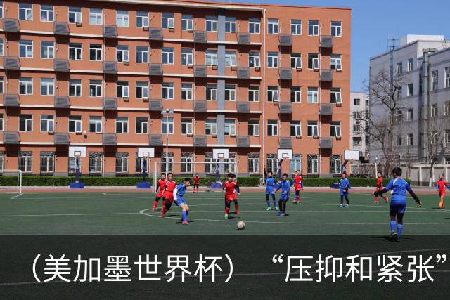 （美加墨世界杯）“压抑和紧张”中的伊朗队首秀